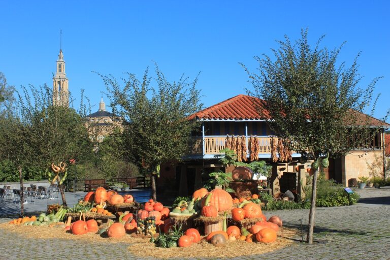 Vuelven las Calabazas al Botánico
