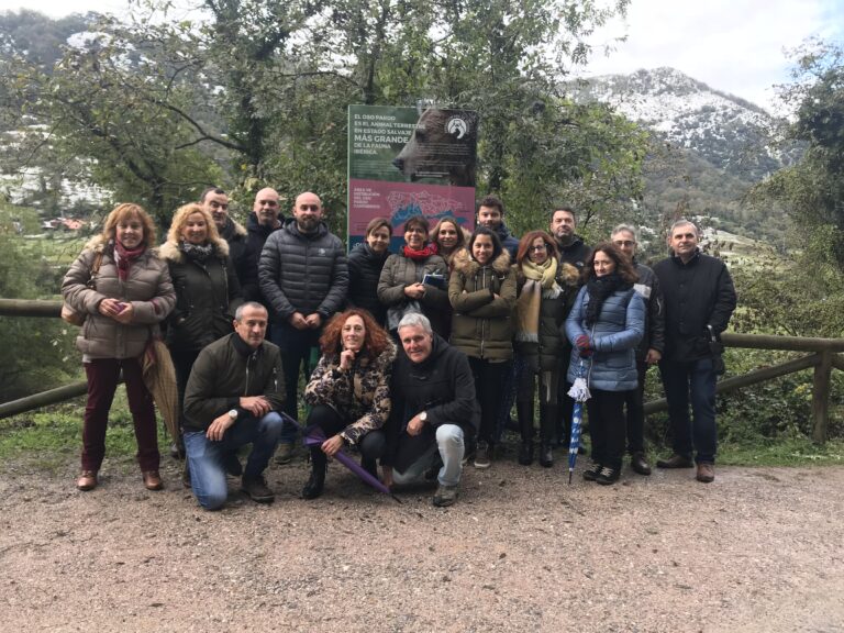 Felicidades a la Fundación Oso de Asturias