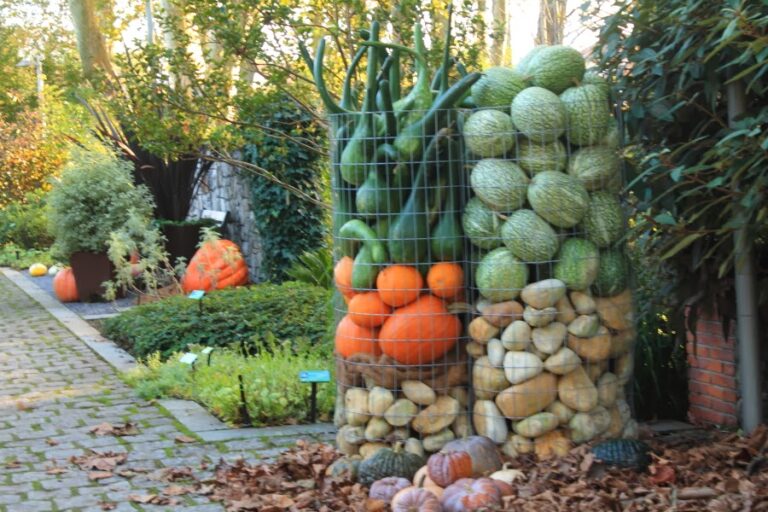 Domingo de calabazas en el Botánico